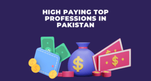 High Paying Top Professions In Pakistan Of 2025